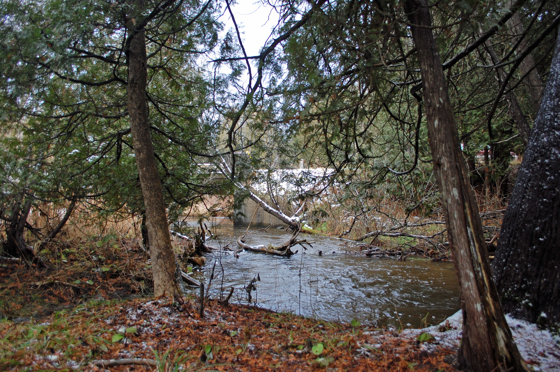 Humber Origin in Mono Mills