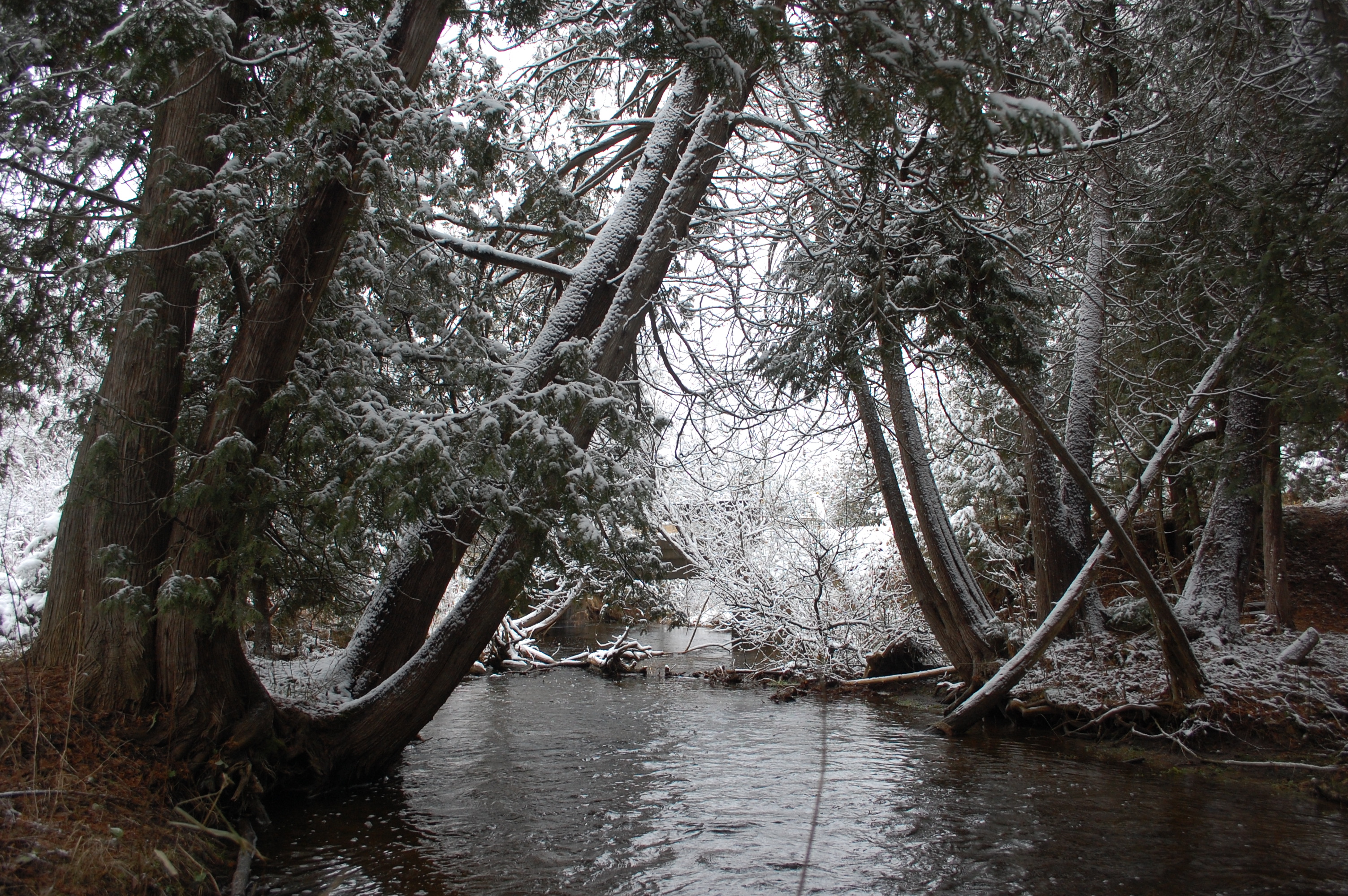 Headwater if the Humber River