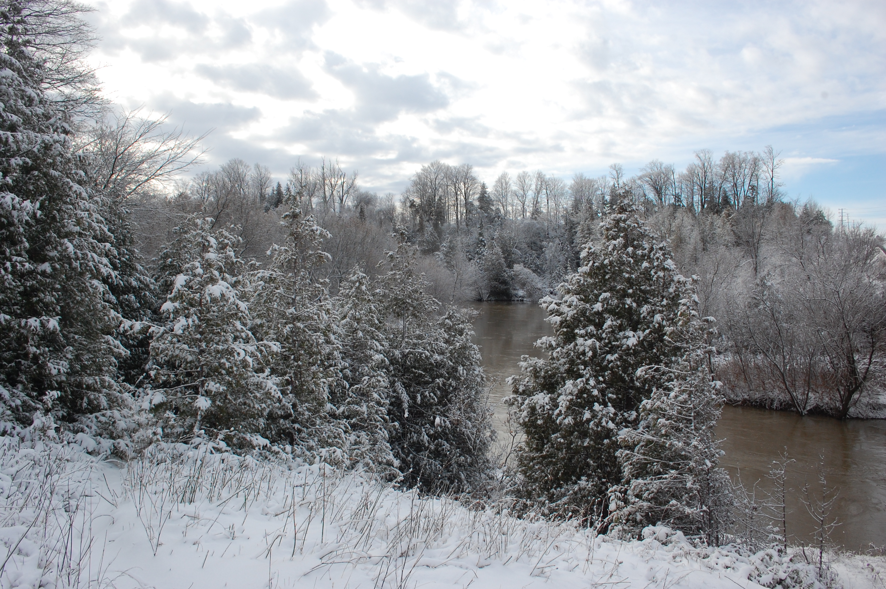 nottawasaga snow